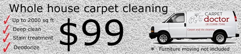 Carpet Cleaning apollo beach